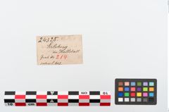 Etiketten zu Bronzeschlangenfibel (NHMW-PRAE-024325)